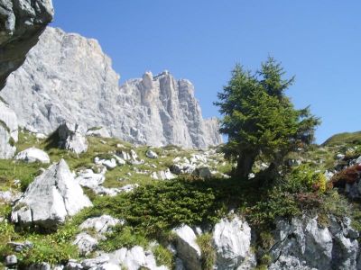 013-Unterwegs im Raetikonhoehenweg